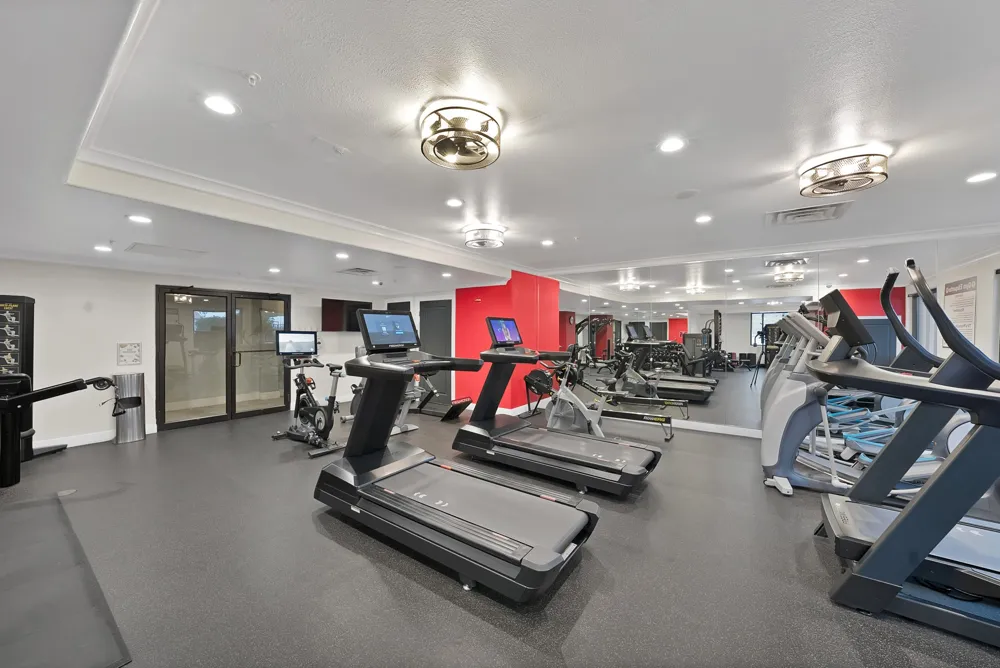 330 Las Colinas Boulevard E #338 Irving, TX 75039