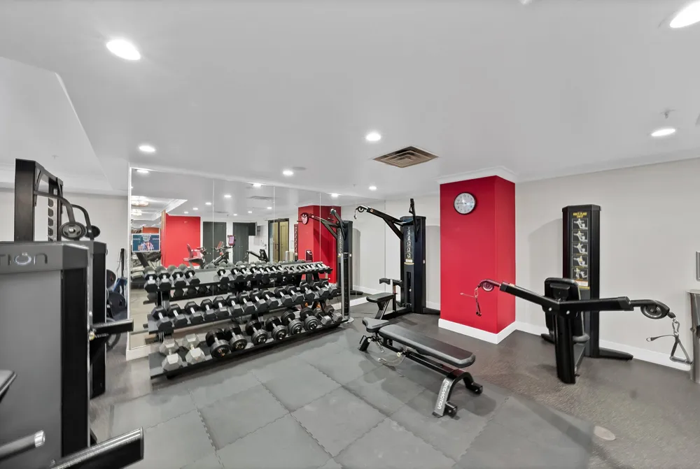 330 Las Colinas Boulevard E #338 Irving, TX 75039