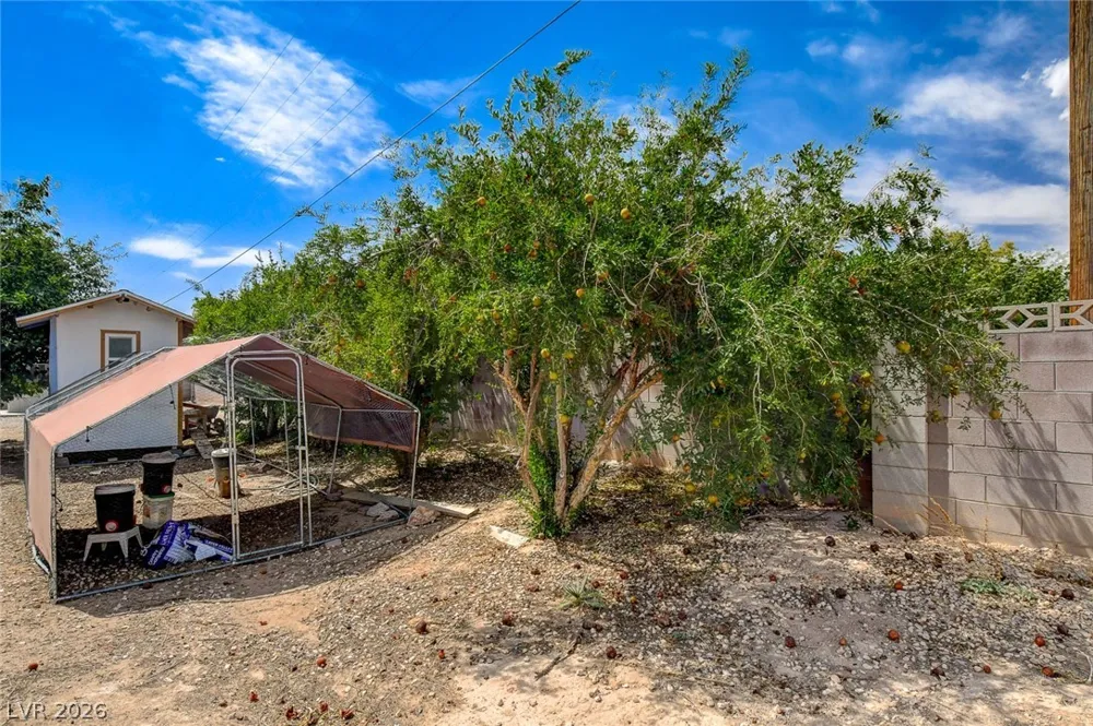 4362 Thistle Street Logandale, NV 89021