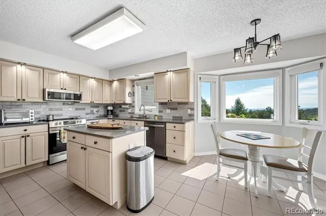 179 Camprobber Court Bailey, CO 80421