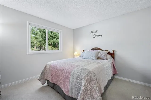 179 Camprobber Court Bailey, CO 80421