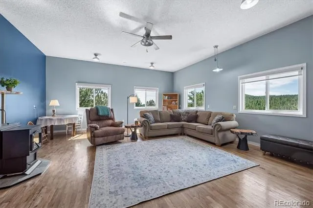 179 Camprobber Court Bailey, CO 80421