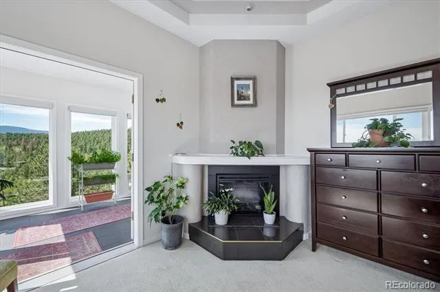 179 Camprobber Court Bailey, CO 80421