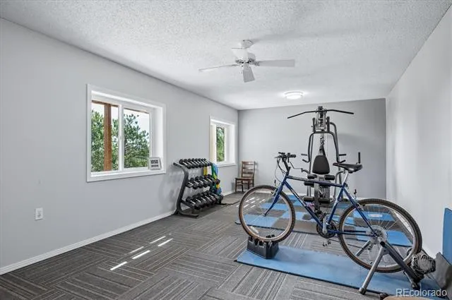 179 Camprobber Court Bailey, CO 80421