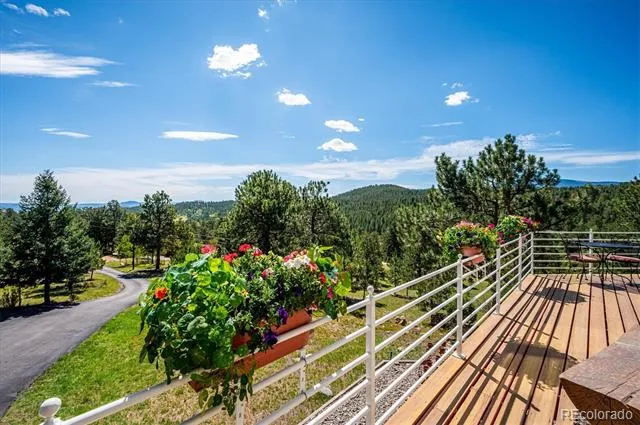 179 Camprobber Court Bailey, CO 80421
