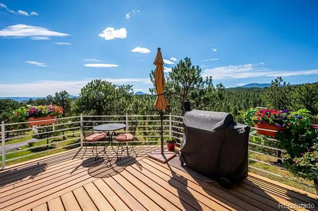 179 Camprobber Court Bailey, CO 80421