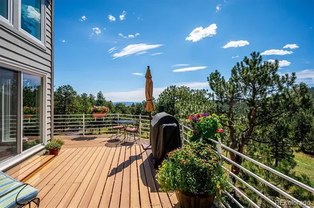 179 Camprobber Court Bailey, CO 80421