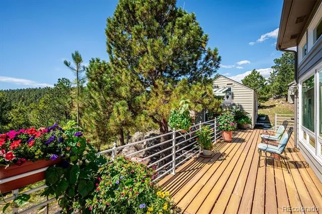 179 Camprobber Court Bailey, CO 80421