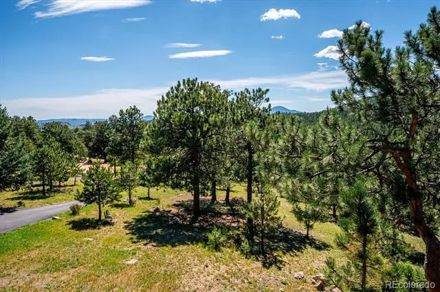 179 Camprobber Court Bailey, CO 80421