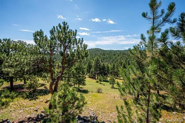 179 Camprobber Court Bailey, CO 80421