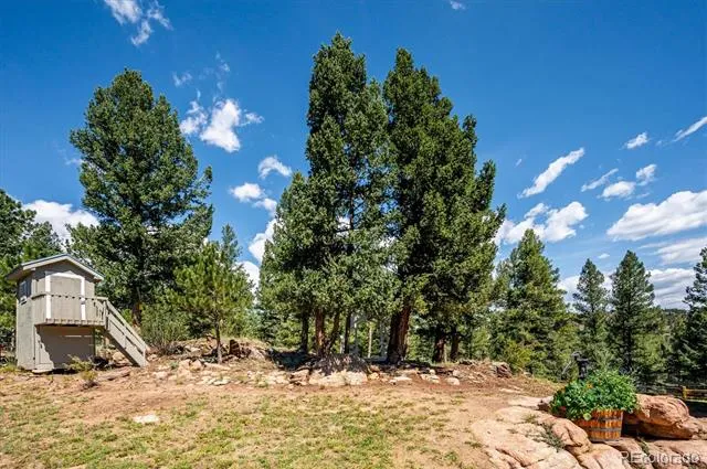 179 Camprobber Court Bailey, CO 80421