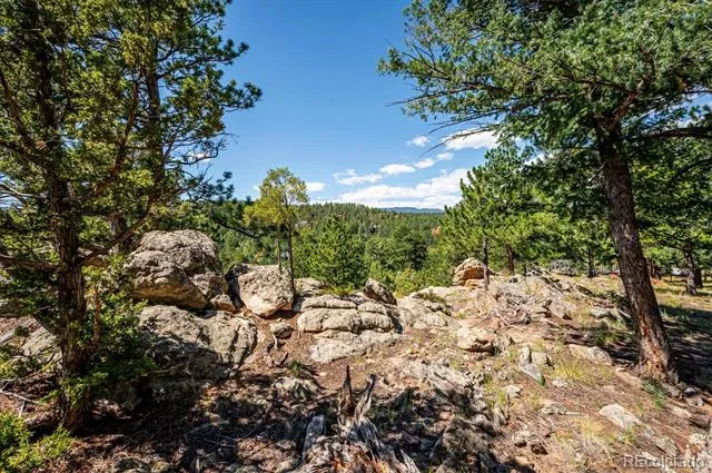 179 Camprobber Court Bailey, CO 80421