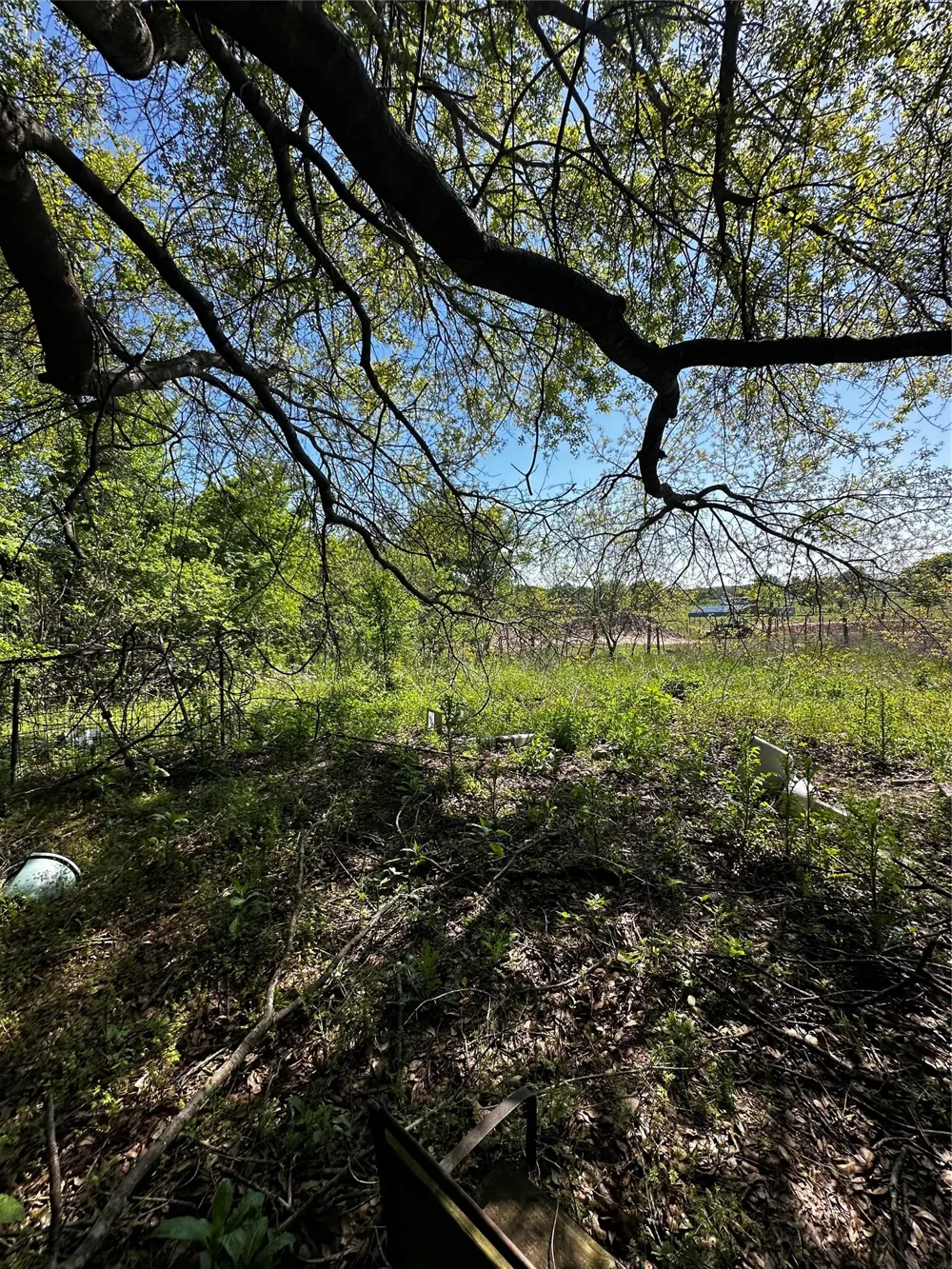 18277 Woodruff Lane Kemp, TX 75143