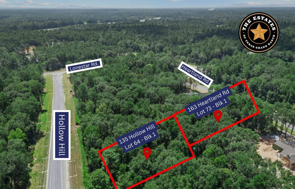 135 Hollow Hill Drive New Waverly, TX 77358