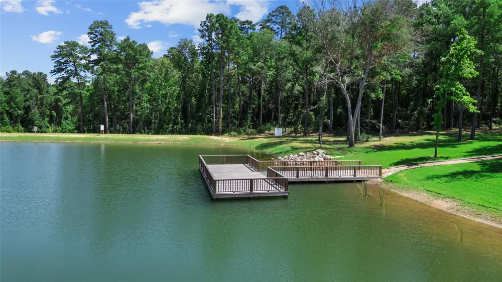 135 Hollow Hill Drive New Waverly, TX 77358