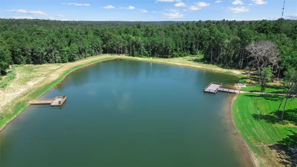 135 Hollow Hill Drive New Waverly, TX 77358