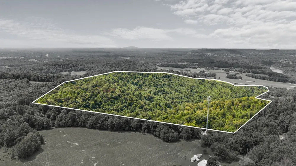 0 Sparkman Town Bone Cave Rd Doyle, TN 38559