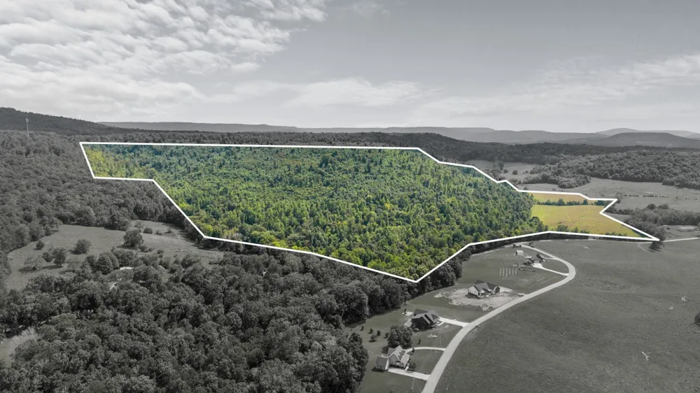 0 Sparkman Town Bone Cave Rd Doyle, TN 38559