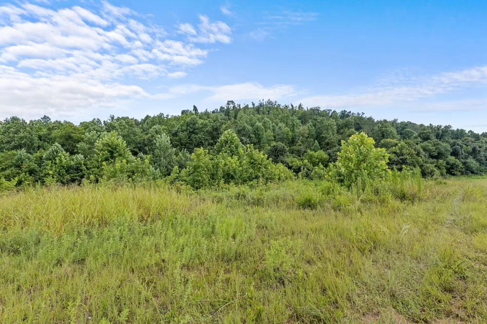 0 Sparkman Town Bone Cave Rd Doyle, TN 38559
