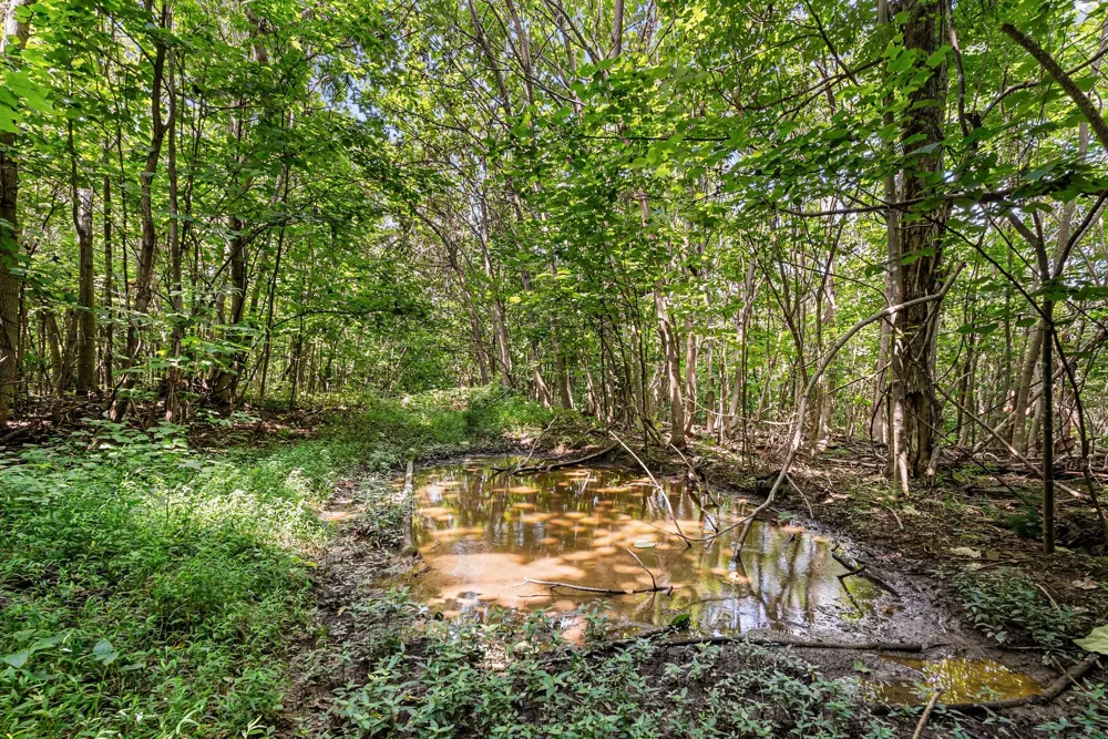 0 Sparkman Town Bone Cave Rd Doyle, TN 38559