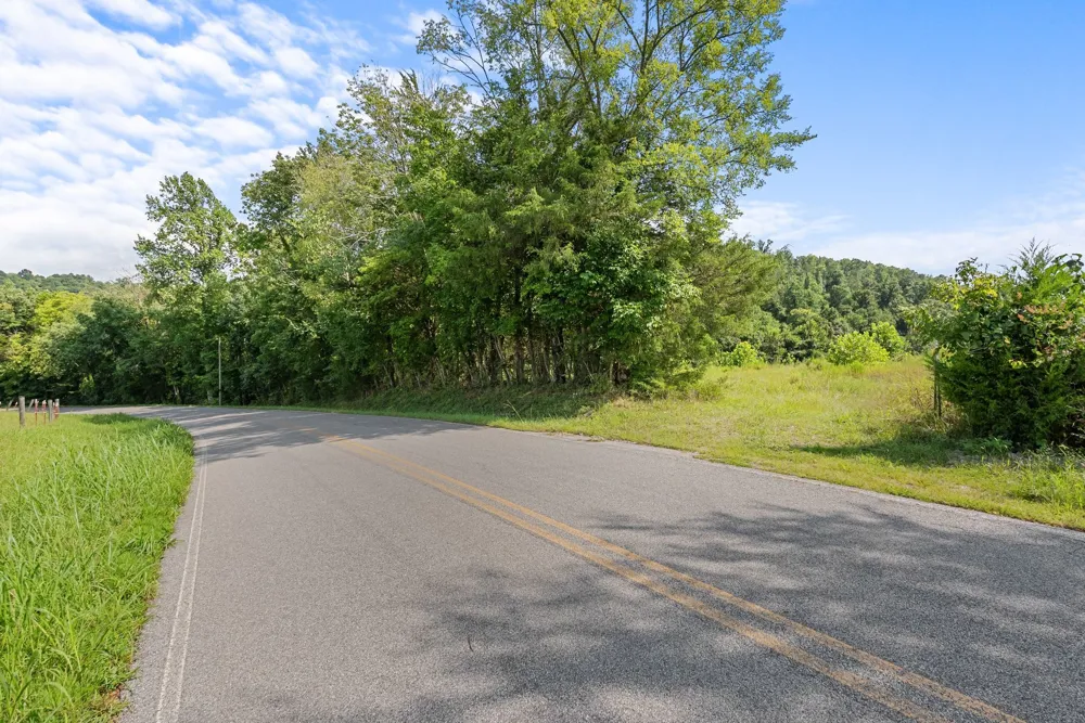 0 Sparkman Town Bone Cave Rd Doyle, TN 38559