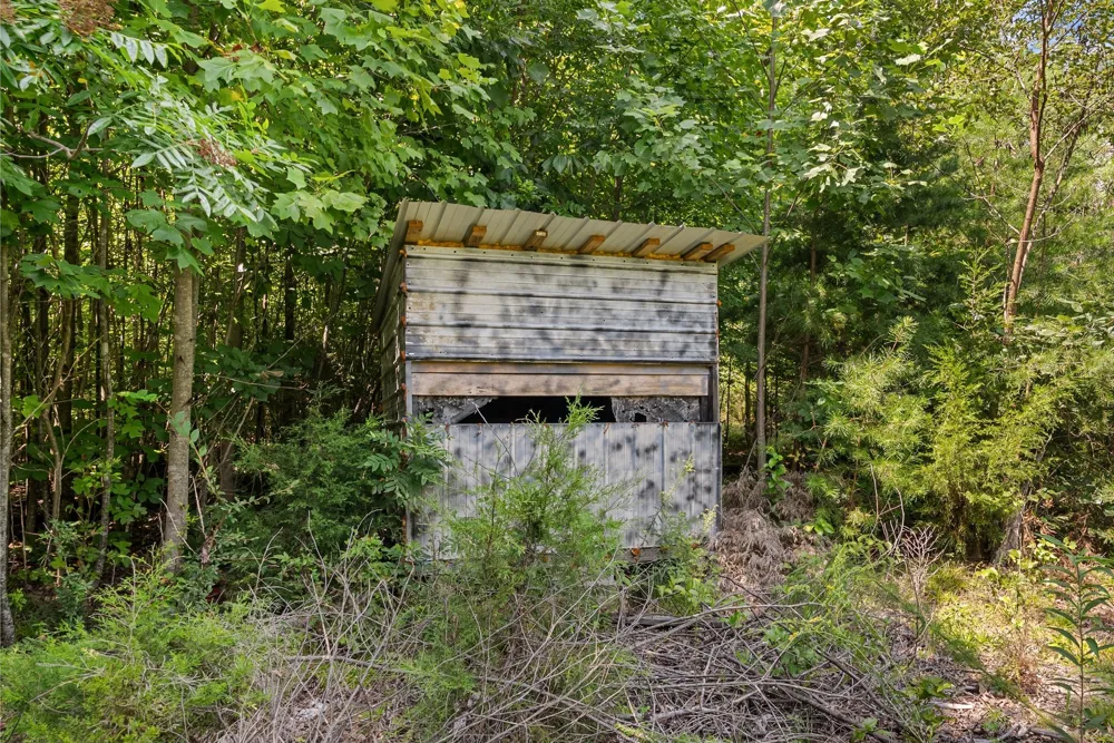 0 Sparkman Town Bone Cave Rd Doyle, TN 38559