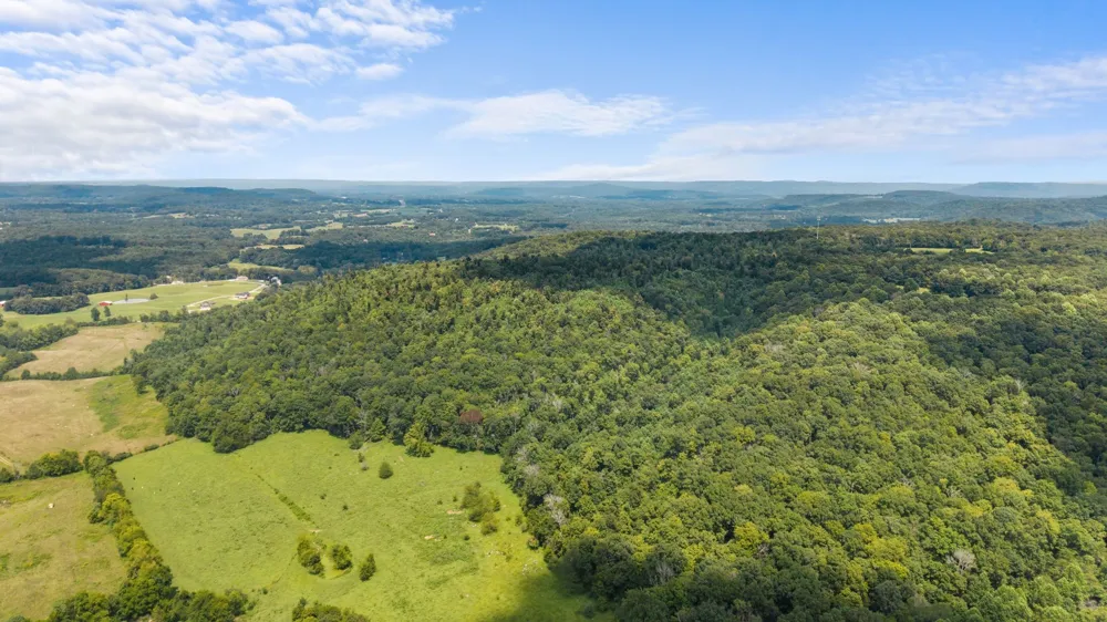 0 Sparkman Town Bone Cave Rd Doyle, TN 38559