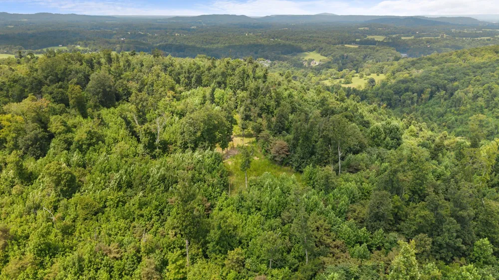 0 Sparkman Town Bone Cave Rd Doyle, TN 38559