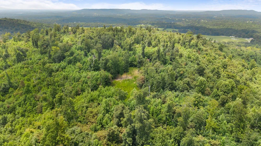 0 Sparkman Town Bone Cave Rd Doyle, TN 38559