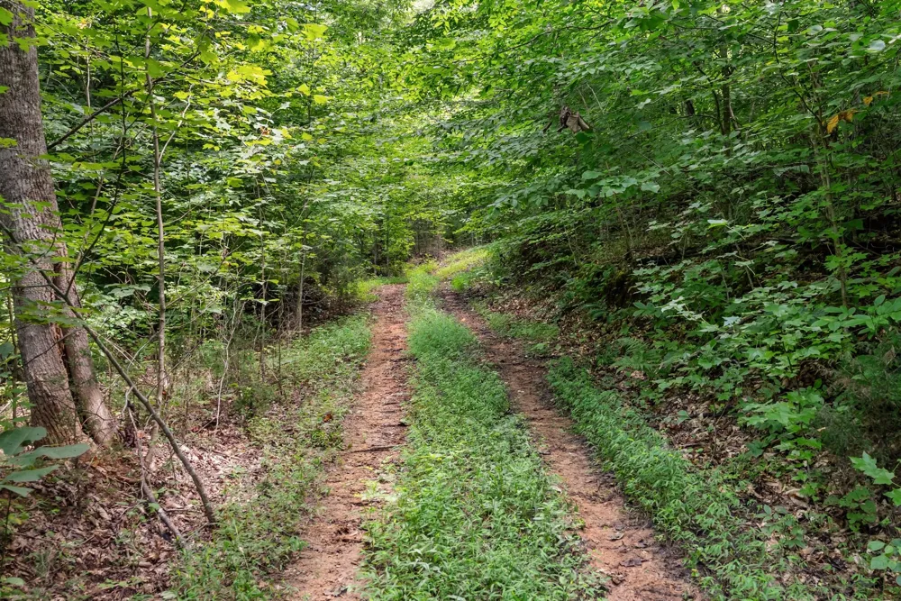0 Sparkman Town Bone Cave Rd Doyle, TN 38559