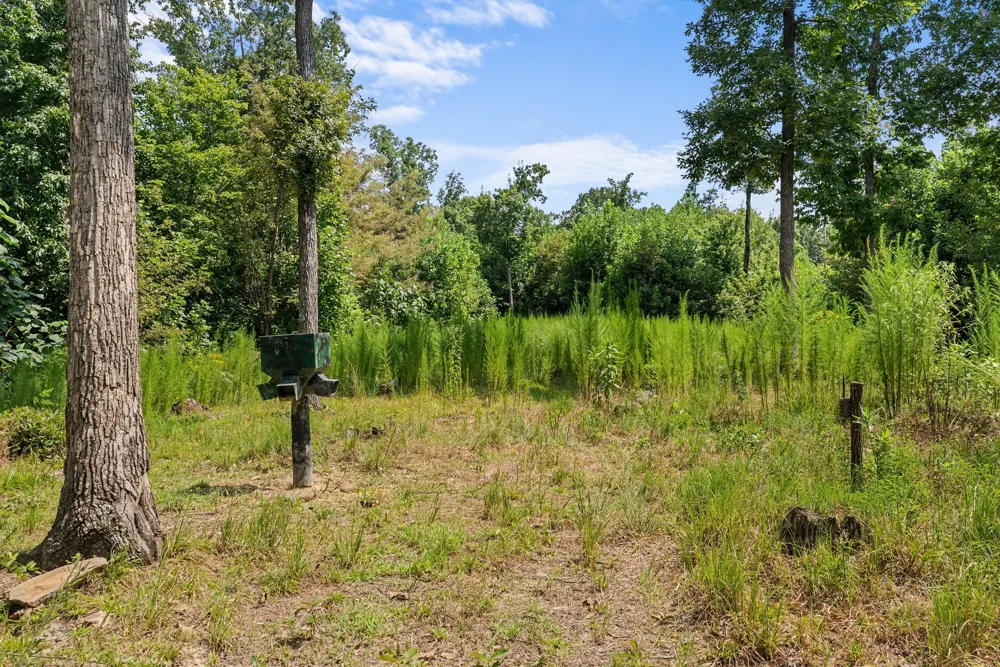 0 Sparkman Town Bone Cave Rd Doyle, TN 38559