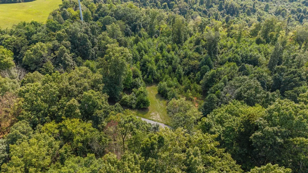 0 Sparkman Town Bone Cave Rd Doyle, TN 38559
