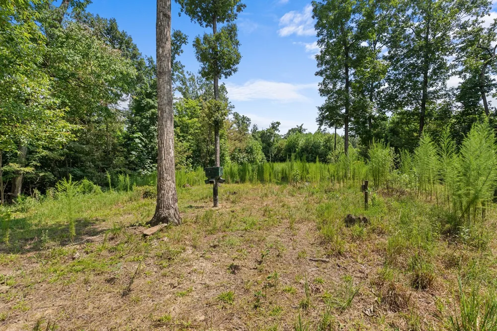 0 Sparkman Town Bone Cave Rd Doyle, TN 38559