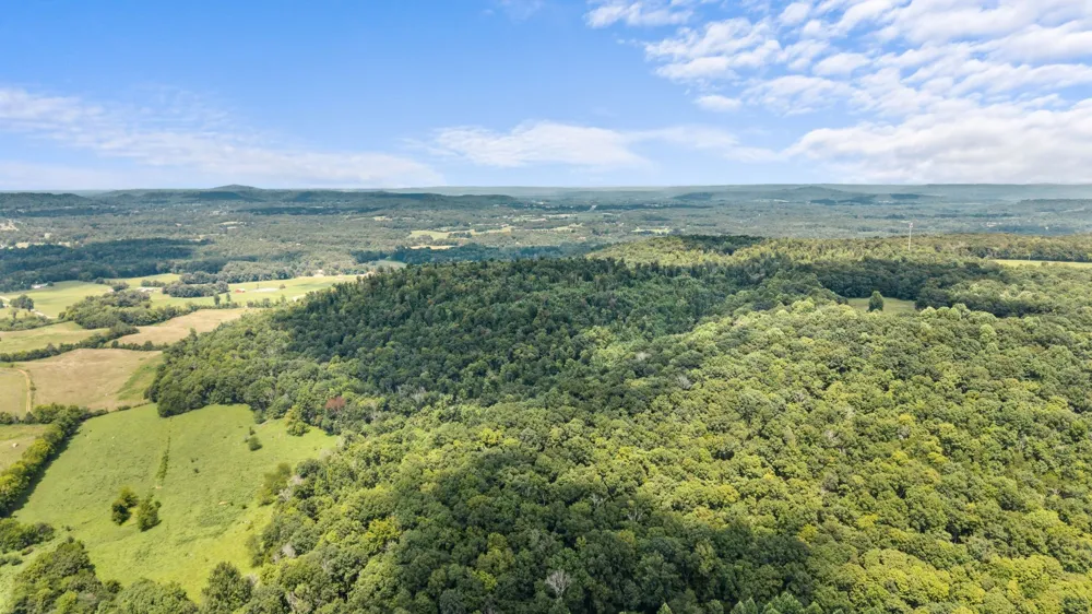 0 Sparkman Town Bone Cave Rd Doyle, TN 38559