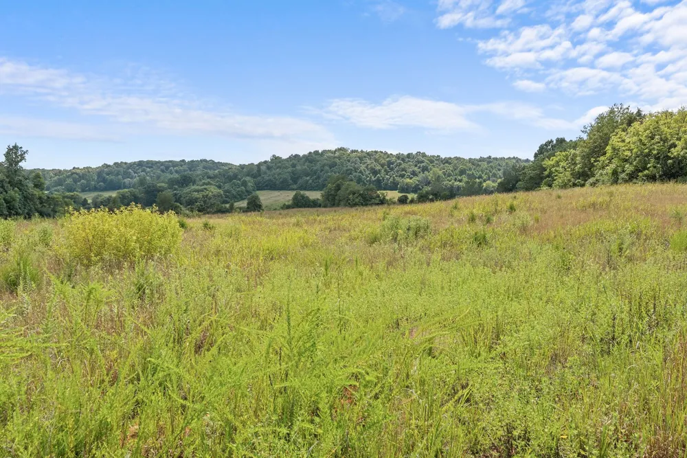 0 Sparkman Town Bone Cave Rd Doyle, TN 38559