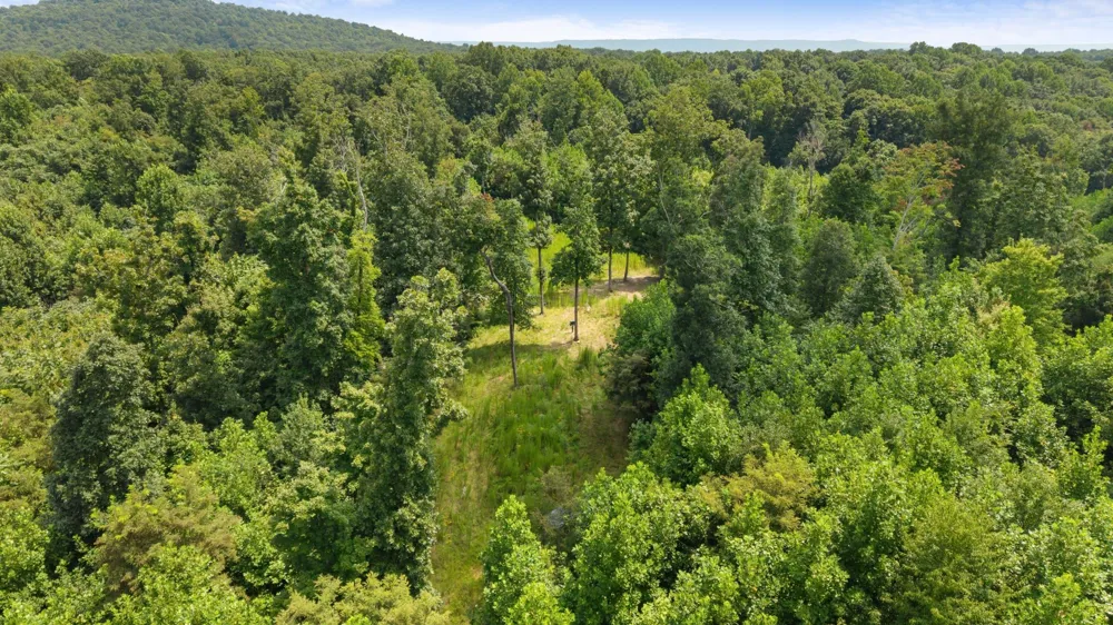 0 Sparkman Town Bone Cave Rd Doyle, TN 38559
