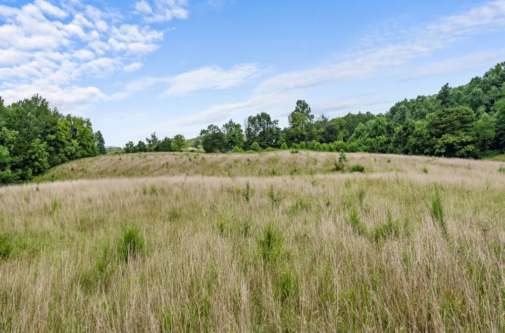 0 Sparkman Town Bone Cave Rd Doyle, TN 38559