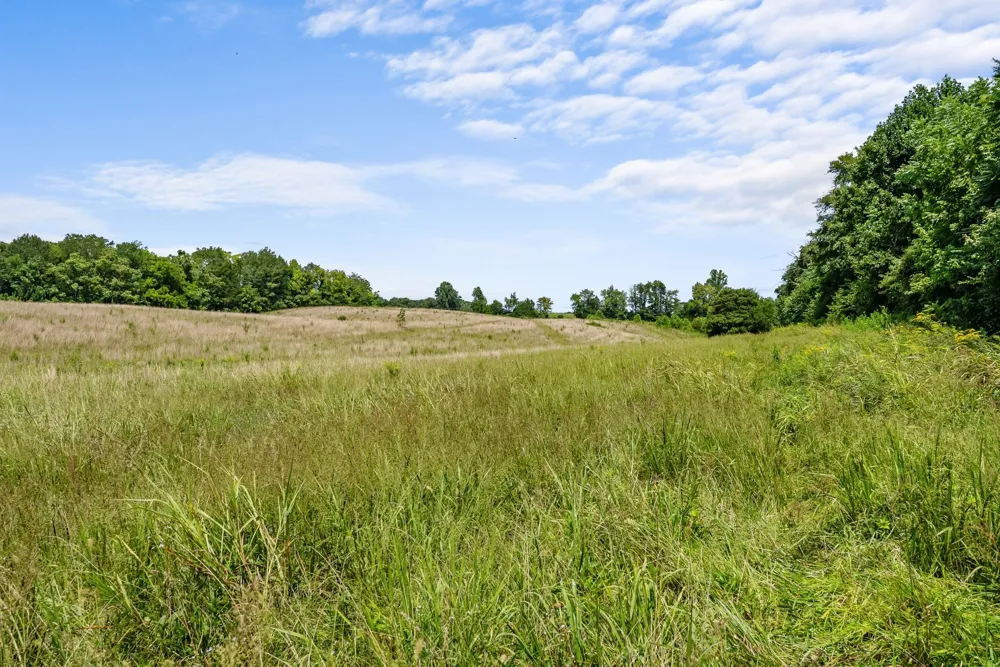 0 Sparkman Town Bone Cave Rd Doyle, TN 38559