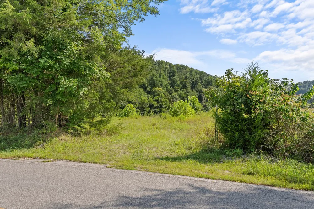 0 Sparkman Town Bone Cave Rd Doyle, TN 38559