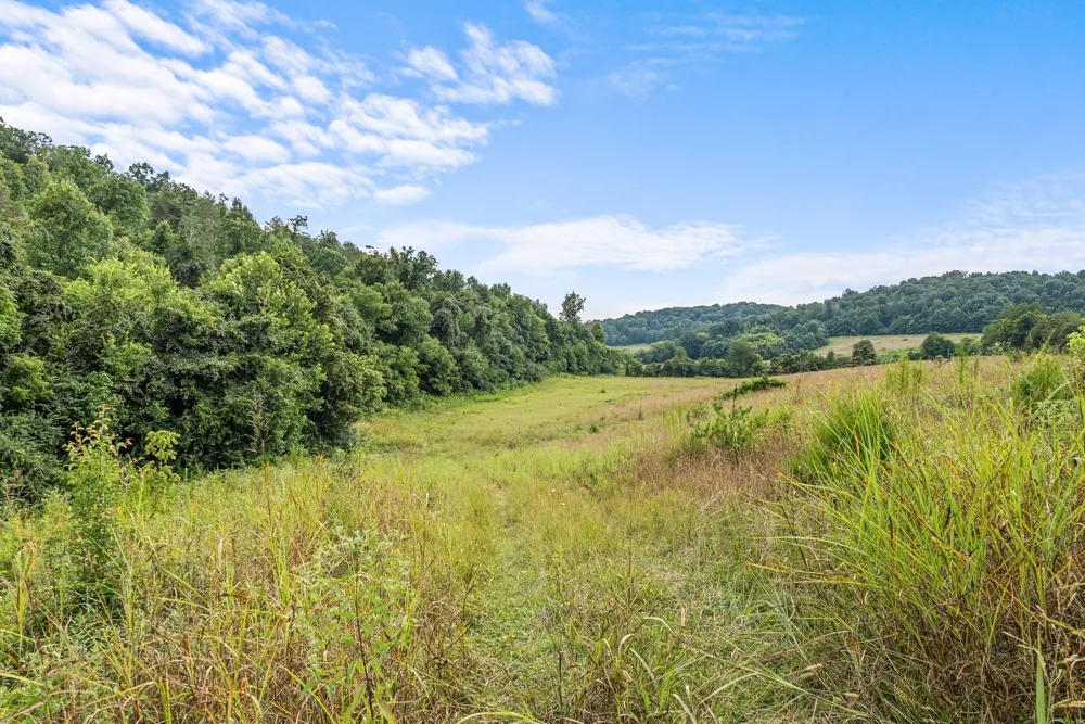 0 Sparkman Town Bone Cave Rd Doyle, TN 38559