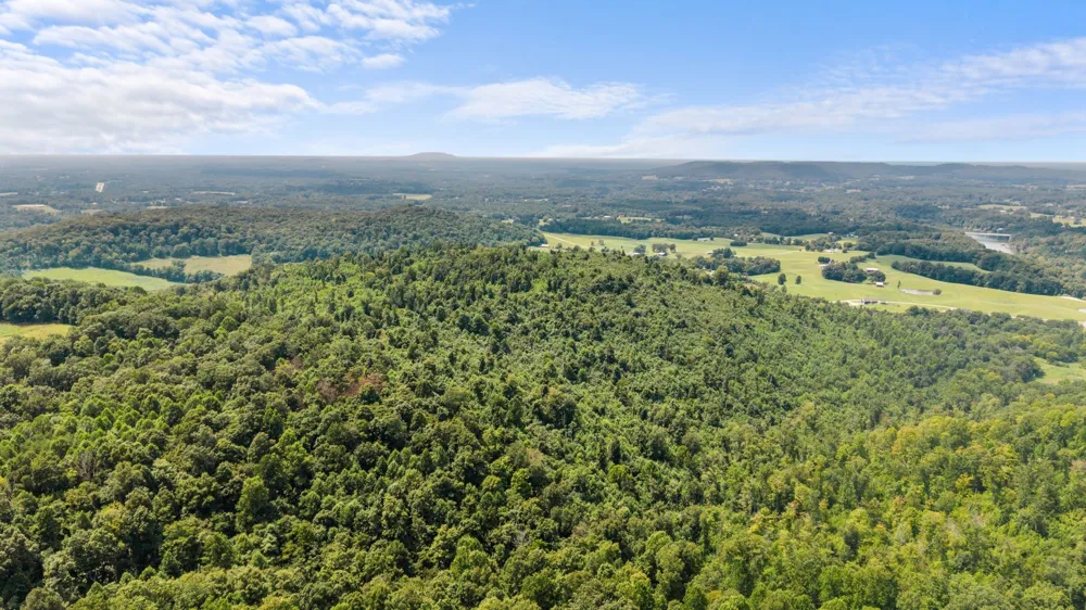 0 Sparkman Town Bone Cave Rd Doyle, TN 38559