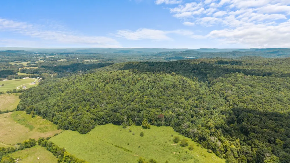 0 Sparkman Town Bone Cave Rd Doyle, TN 38559