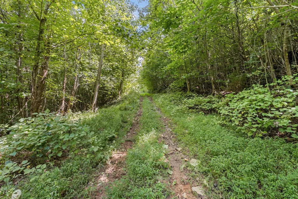 0 Sparkman Town Bone Cave Rd Doyle, TN 38559