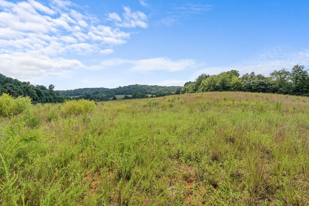 0 Sparkman Town Bone Cave Rd Doyle, TN 38559
