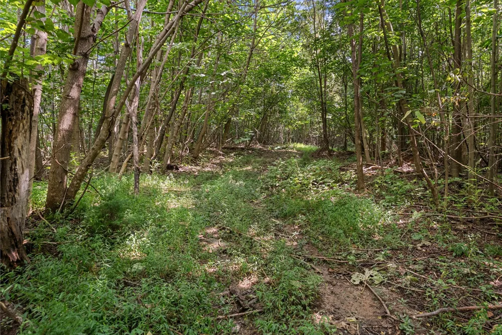 0 Sparkman Town Bone Cave Rd Doyle, TN 38559