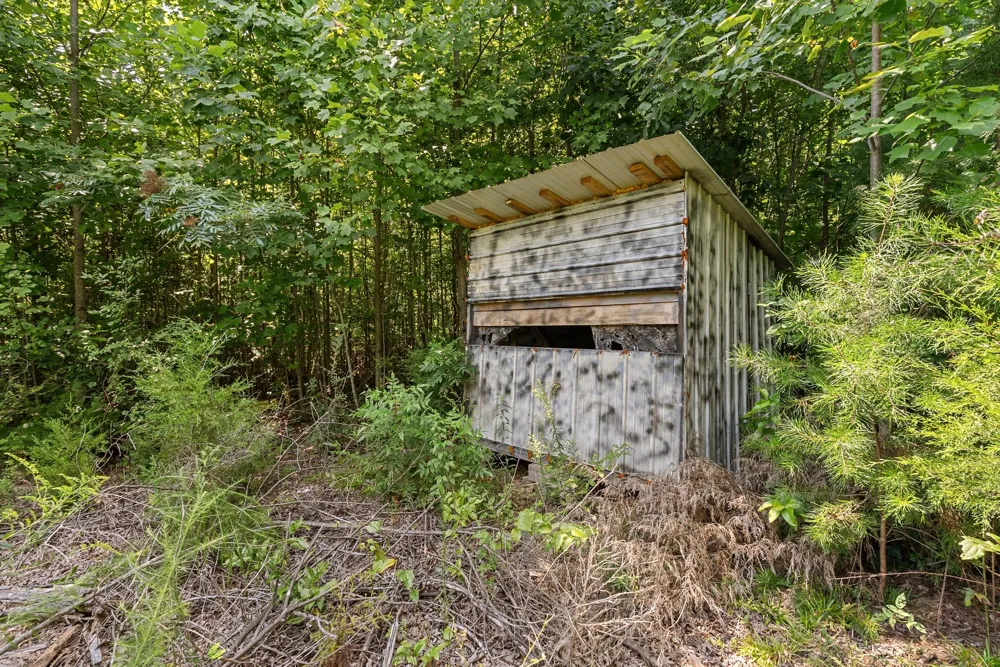 0 Sparkman Town Bone Cave Rd Doyle, TN 38559