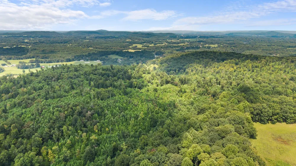 0 Sparkman Town Bone Cave Rd Doyle, TN 38559