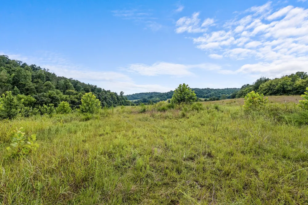 0 Sparkman Town Bone Cave Rd Doyle, TN 38559