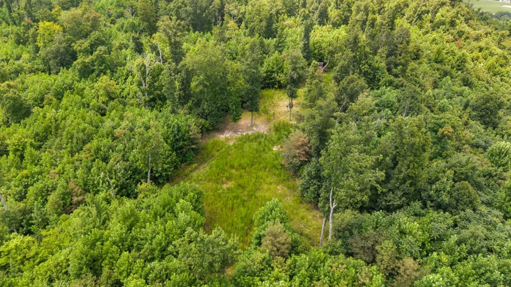 0 Sparkman Town Bone Cave Rd Doyle, TN 38559