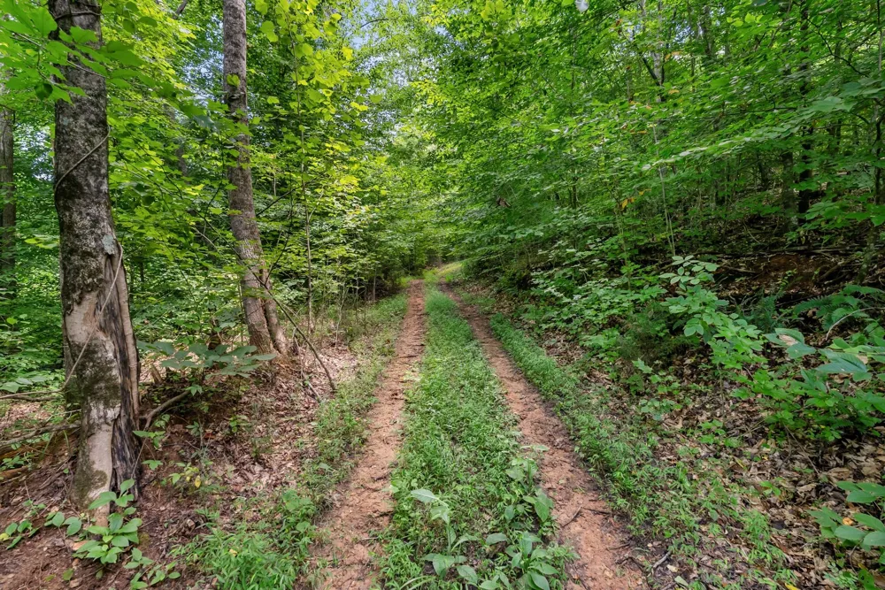 0 Sparkman Town Bone Cave Rd Doyle, TN 38559